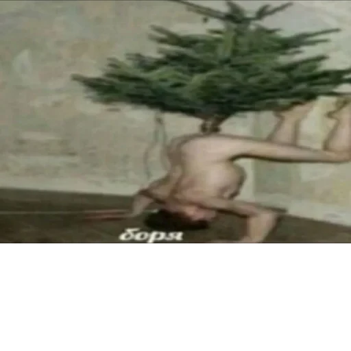 Nice cock :: @fStikBot
