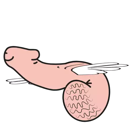 Sexy girls @Stickersnew