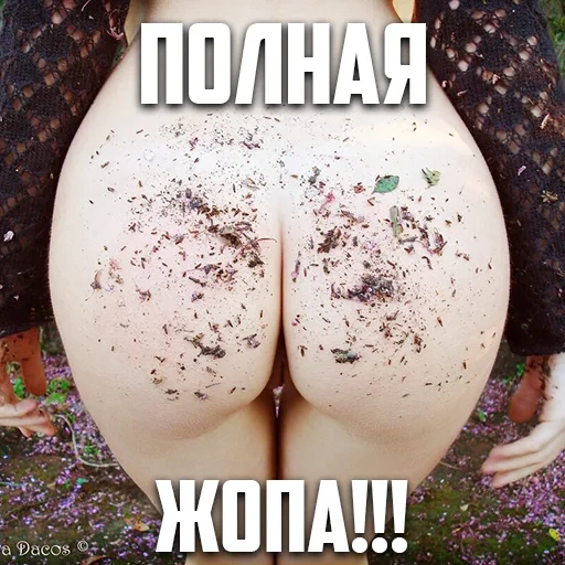 iBird's Pack 18+