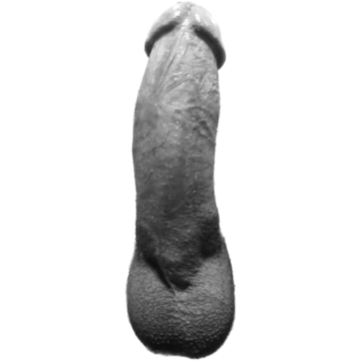 Little fat penis - Pene