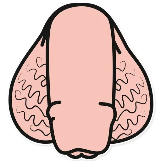 Dick @stickersb2b