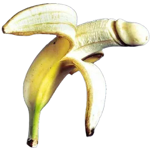 Erotic ( @ShittyAlien )