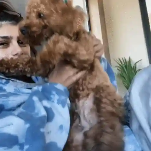 🧏🏻‍♀️ᴍɪᴀ ᴋʜᴀʟɪꜰᴀ💞 𝗠𝗼𝘃