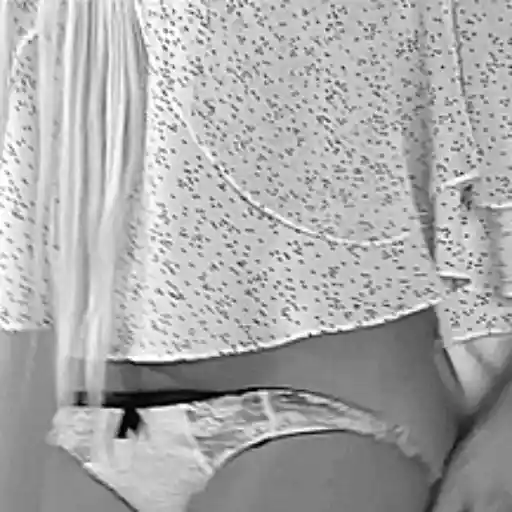 🔞😩👙Down Pants🥵(Deluxe)😈🔥