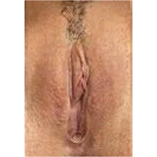 Tipos de vaginas