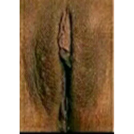 Tipos de vaginas