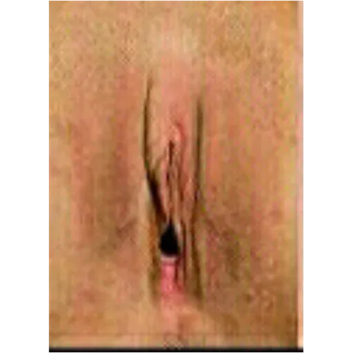 Tipos de vaginas