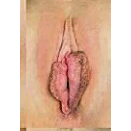Tipos de vaginas