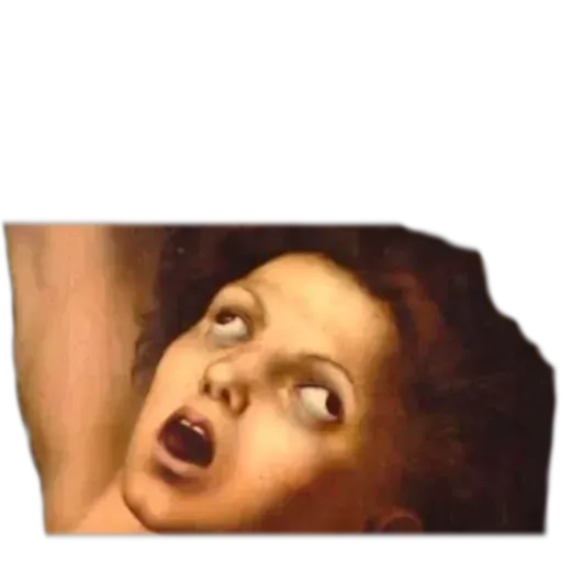 Memes porno (para adultos)