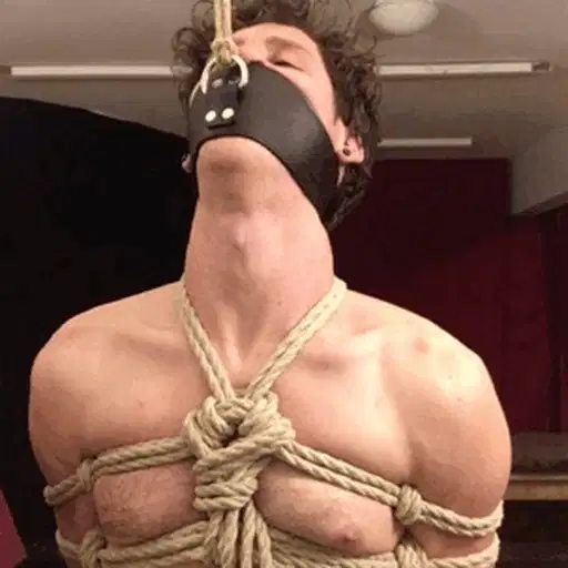 Gay Bdsm Bondage Gifs And Pics p.2