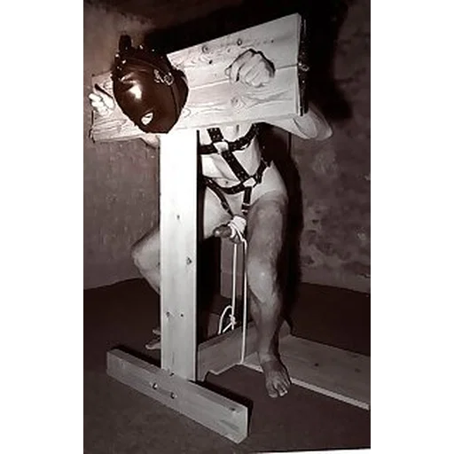 Gay Bdsm Bondage Gifs And Pics p.10