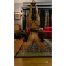 Gay Bdsm Bondage Gifs And Pics p.10