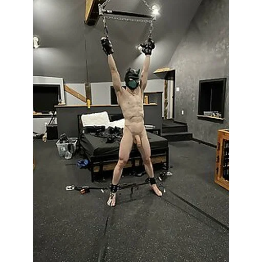 Gay Bdsm Bondage Gifs And Pics p.20
