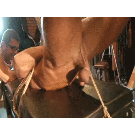 Gay Bdsm Bondage Gifs And Pics p.23