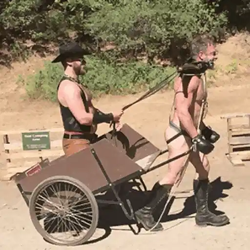 Gay Bdsm Bondage Gifs And Pics p.33