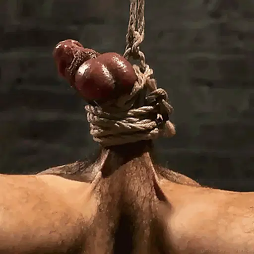 Gay Bdsm Bondage Gifs And Pics p.38