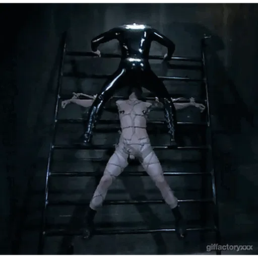 Gay Bdsm Bondage Gifs And Pics p.40
