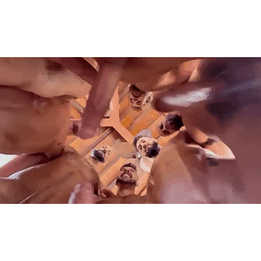 Group Sex Gifs And Orgy Pics p.1