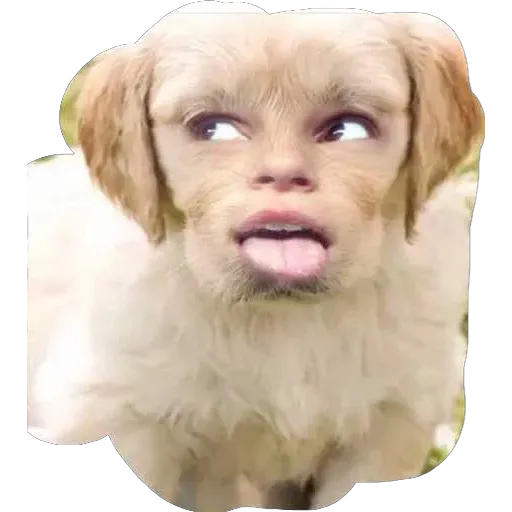 XXX