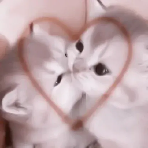 xxx