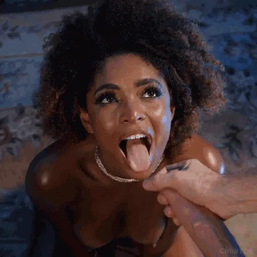 Black Chicks & White Dicks Gifs p.2