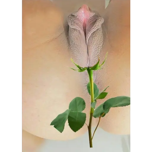 Tasty Black Booties
