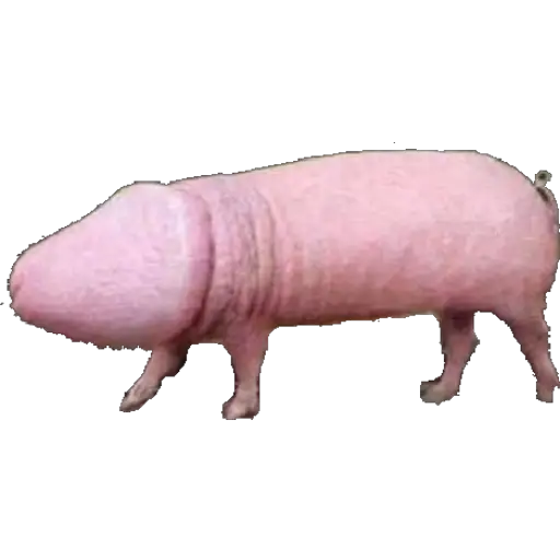 Weird but porn