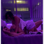 @SGiiFX8  SEXY💦👿