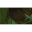 Sexy Hunhan