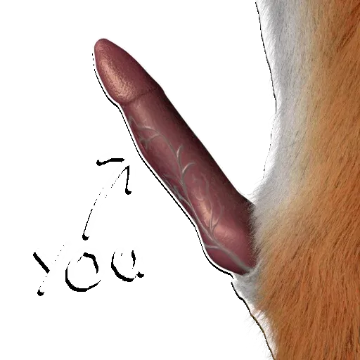 Xavier_NSFW