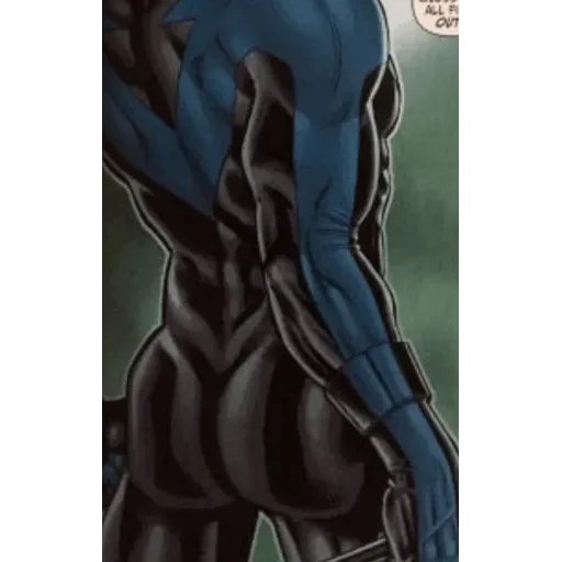 Nightwing ass
