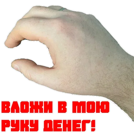 Porn lovers