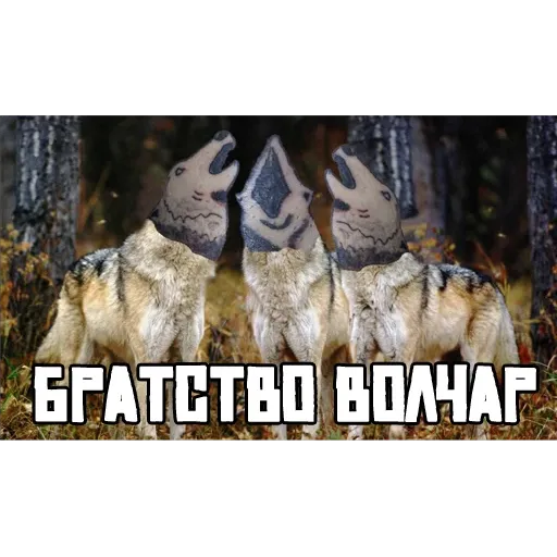 Porn lovers