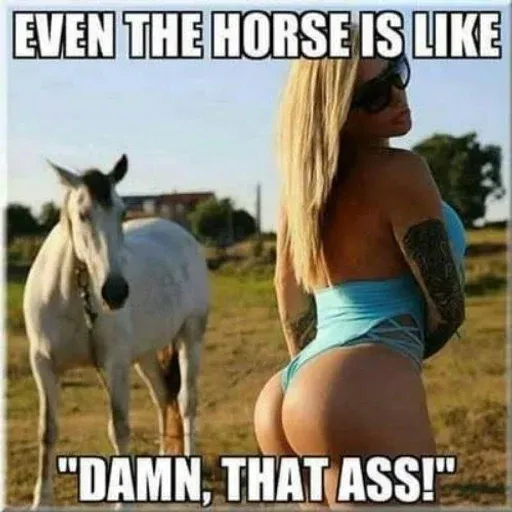 $ASS