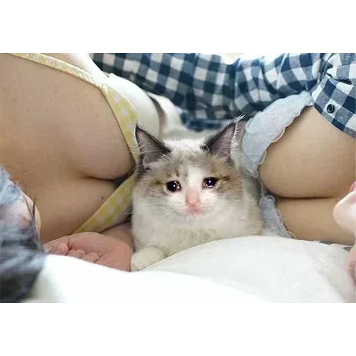 Hentai @xvieravelyn