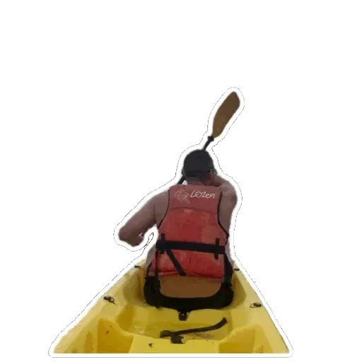 Surfing porn