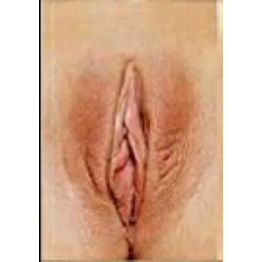 Vagina
