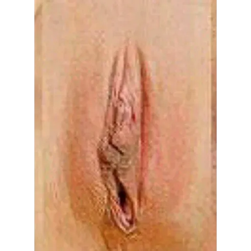 Vagina