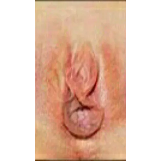 Vagina