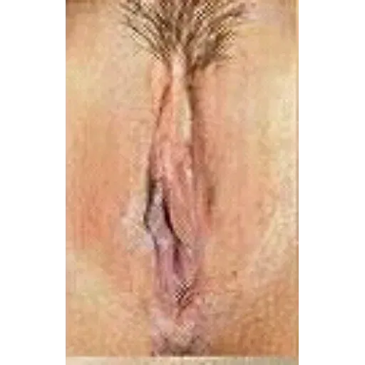 Vagina