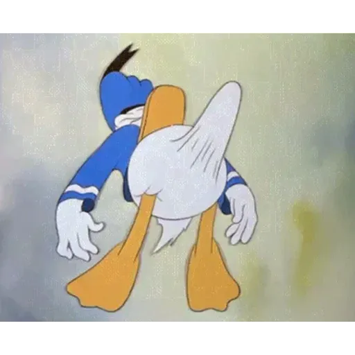 Penis
