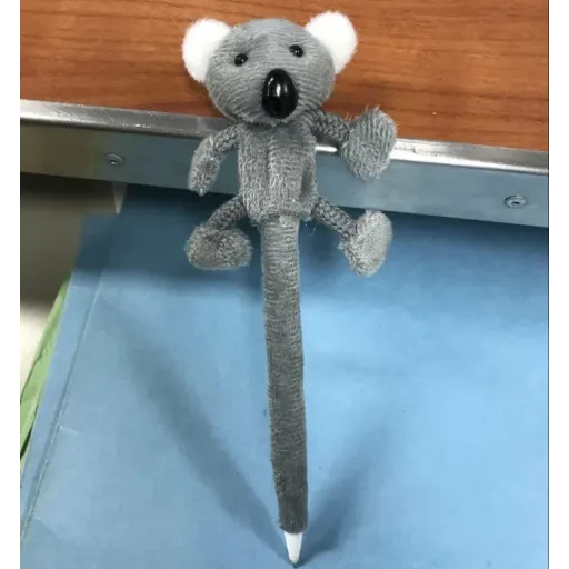 Penis