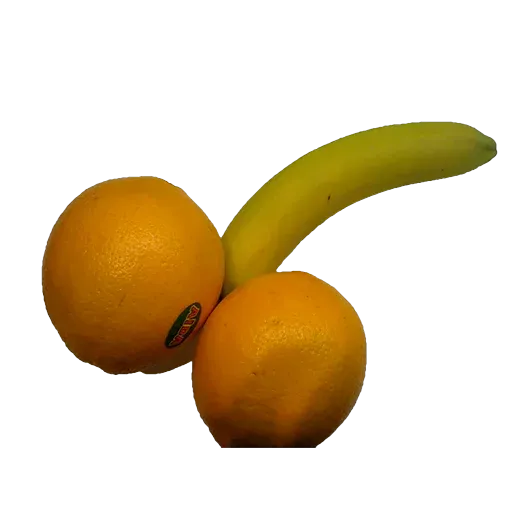 Penis