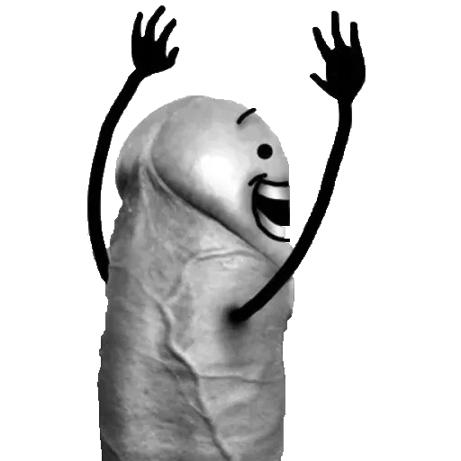 Penis