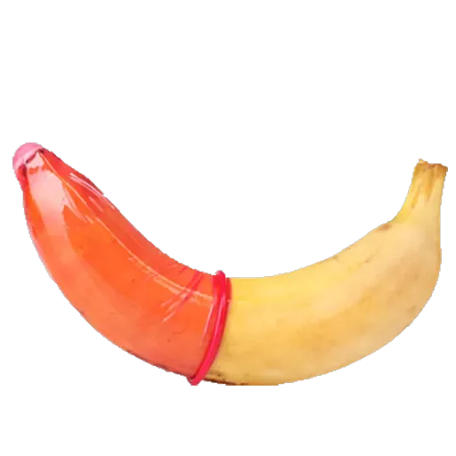 Penis