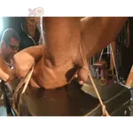 Gay Bdsm Bondage Gifs And Pics p.23