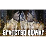 Porn lovers