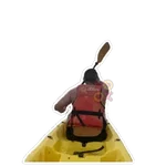 Surfing porn