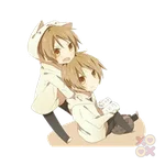 Yaoi (BL)