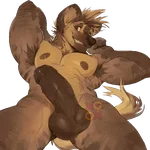 male penis
